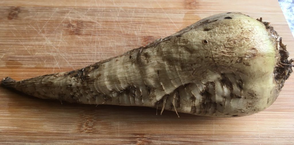 Zuckerrübe frisch vom Feld